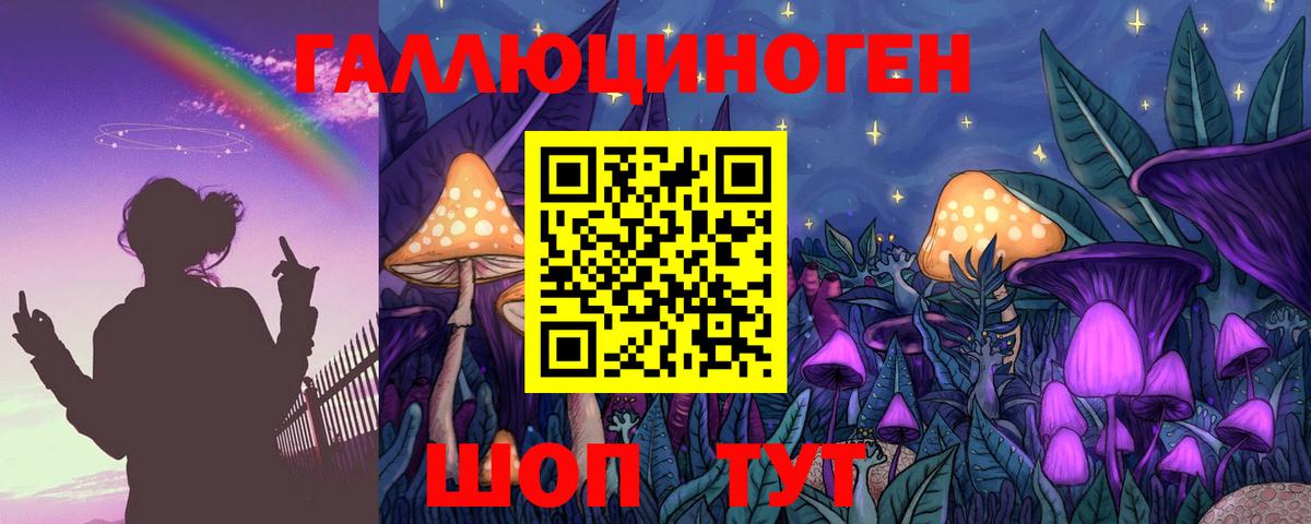 Псилоцибиновые грибы Cubensis Арсеньев