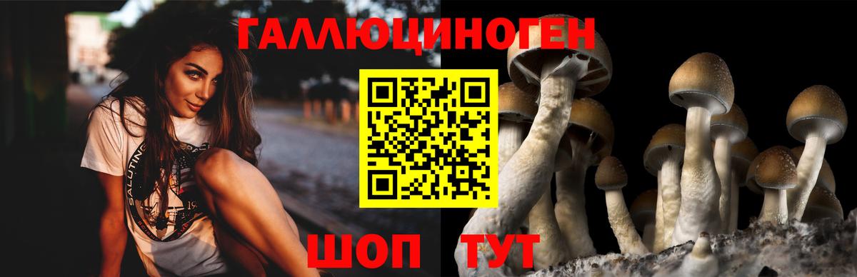 Арсеньев  Галлюциногенные грибы Psilocybe  Вход с VPN  Галлюциногенные грибы мухоморы 